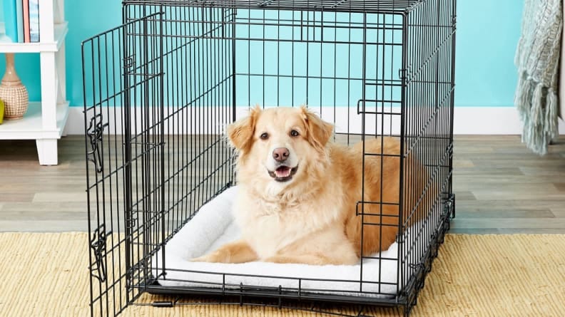 fetch dog crate
